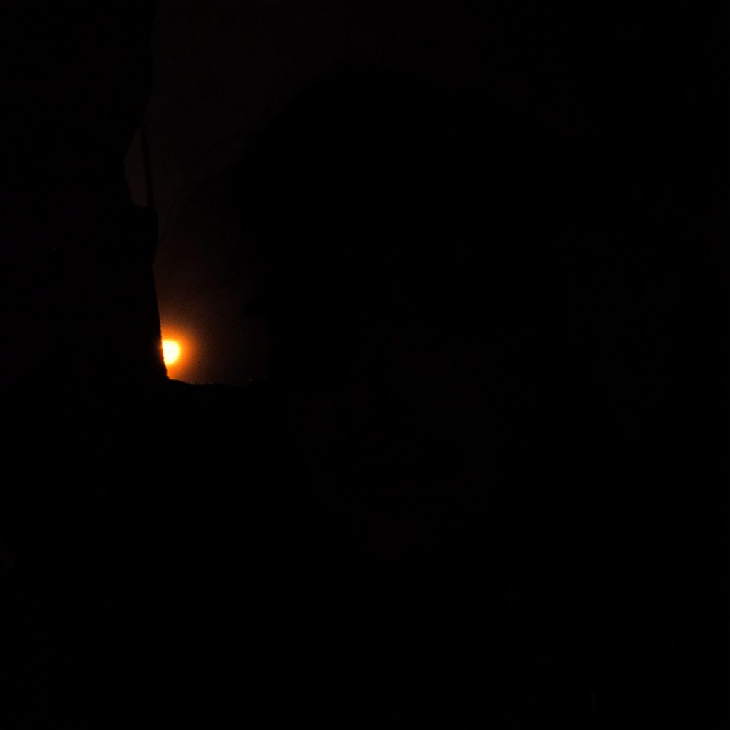 Dark moody photograph of a horse and rider in a shadowed arena, deep browns and muted greens